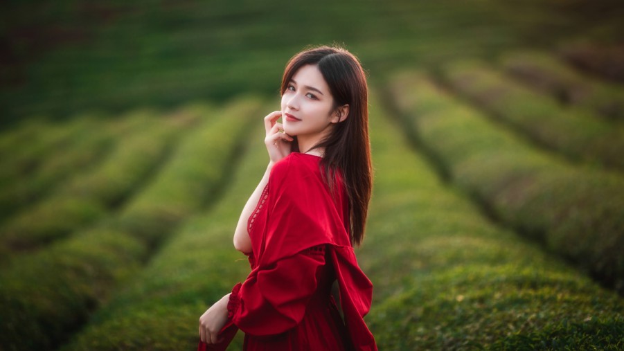 XCSEO关键排名优化与品牌建设的完美结合